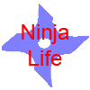Ninja Life ninja weapons