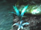 nirnroot found in the wilderness